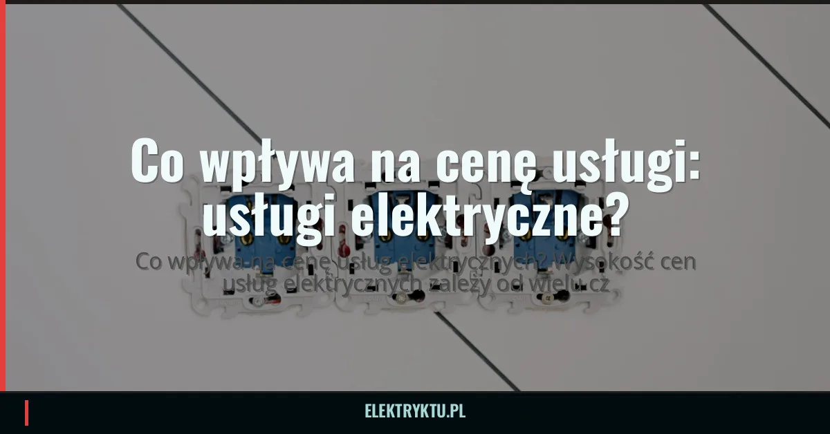 Co wpływa na cenę usługi elektrycznej?