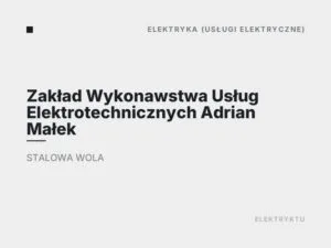 Zakład Wykonawstwa Usług Elektrotechnicznych Adrian Małek