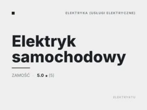 Elektryk samochodowy