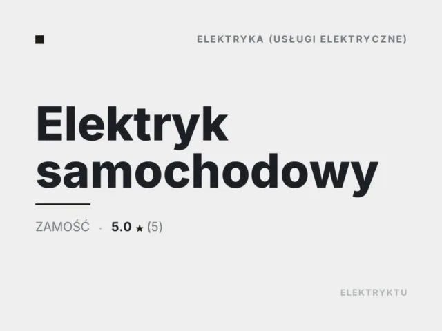 Elektryk samochodowy