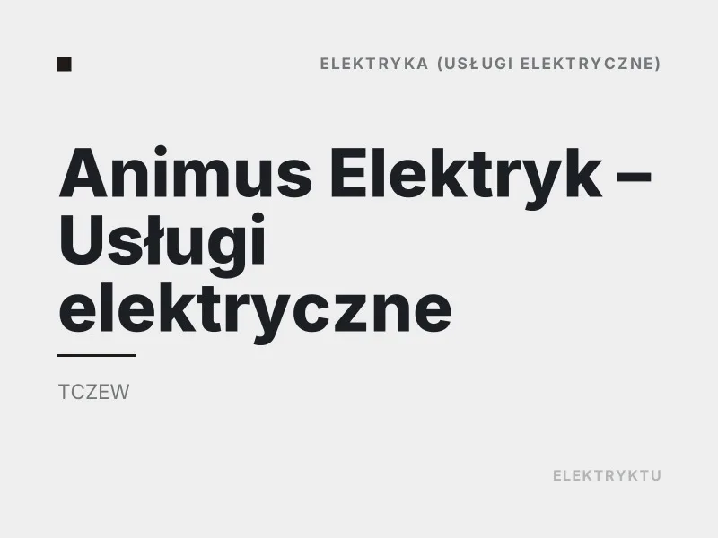 Animus Elektryk Usługi elektryczne Diagnostyka usterek elektrycznych Tczew