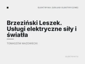 Brzeziński Leszek. Usługi elektryczne siły i światła