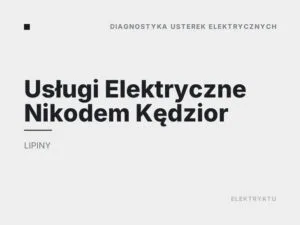 Usługi Elektryczne Nikodem Kędzior