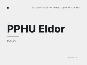 PPHU Eldor